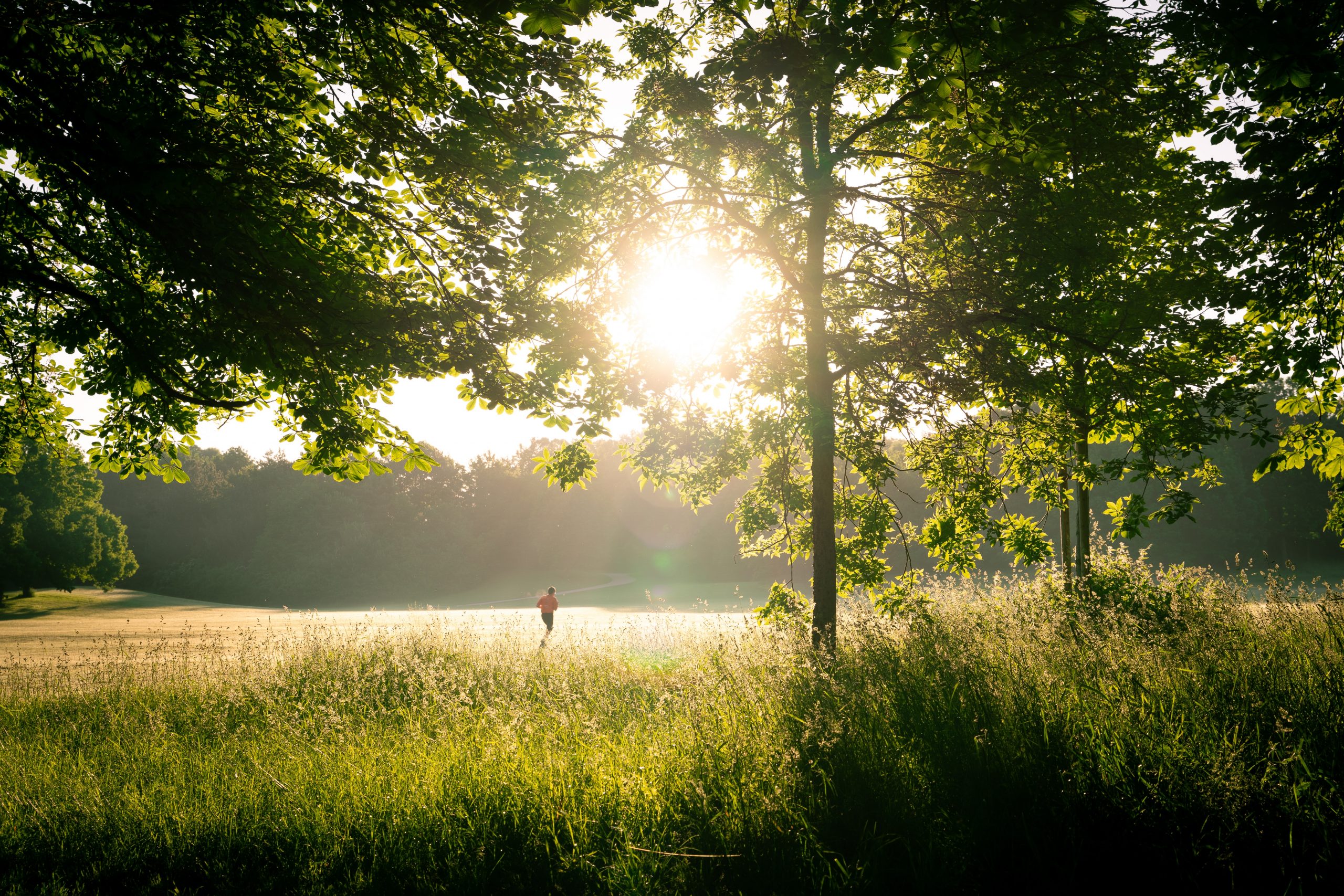 Person joggt bei Sonne durch die Felder.